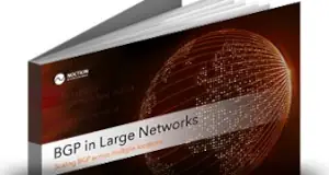 BGP in Large Network EBook